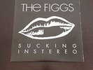 The Figgs - Sucking In Stereo LP / Black Pressing / Out Of Print / Signed