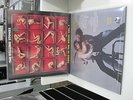 ROLLING STONES LP + CD FOXES IN THE BOXES VOL 1  GREEN VINYL  SEXY NUDE COVER