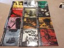 Belle and Sebastian vinyl complete strap love child girls tigermilk life lot