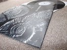 ? THE SUNDAYS Reading Writing Arithmetic LP 1990 THE LAs Indie ROCK ROUGH TRADE
