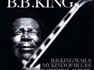 B. B. KING-B.B.KING WAILS/MY KIND OF BLUES-VINYL LP (2) VINYL PASS NEW