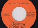 70s Soul 45 - Dee Dee Joseph & David - She's Got Something - Free Soul VG++ mp3