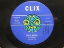 JIMMY LEE She's Gone  ORIG ROCKABILLY 45 NM- CLIX Detroit Michigan MP3