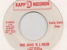 JERRY JACKSON-WIDE AWAKE IN A DREAM-KAPP-***RED/WHITE DEMO***