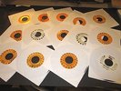 Bundle of Tommy James & Shondells  Singles  14 Roulette Titles  Three Promos