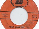 THE VANDALS YOUR LOVE WILL DIE b/w MARY LABEL VG VINYL VG  ATLANTA GARAGE 45 D