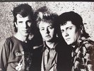 STRAY CATS**TORONTO STRUT: CANADIAN BROADCAST (GATEFOLD/180 GRAM)**2 VINYL SET