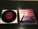 Passion Pit 7