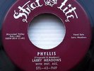 LARRY MEADOWS Phyllis b/w Were Through TEEN Doowop 45 on Strat Lite m573