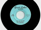 THE FYREBIRDS - MICHIGAN '60s FUZZ GARAGE 45-Single GREAT LAKES REC 67'  VG++