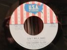 */NM The Cherry Slush USA Records Don't Walk Away/I cannot Stop You psych Fuzz