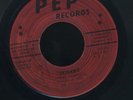 1581 FUGITIVES-SKILAMY-BABA BROOKS-PARTY TIME-PEP- REGGAE 45 7