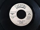Tittyshaker Rocker 45   Original Starfires   Camel Walk  HEAR **