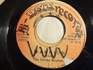 The Divine Brothers - Warrior  7