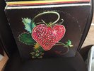 Strawberry Hill Invitational Bluegrass Festival LP Jim Orange Grass Menagerie