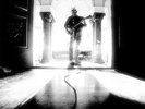 NEIL YOUNG - LE NOISE  -  LP