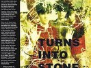 The Stone Roses - Turns Into Stone 180 gram 2 x LP - Sealed - NEW COPY