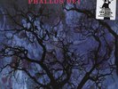 Amon Düül II - Phallus Dei (Vinyl LP - 1969 - US - Reissue)
