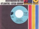 BILL WYMAN (OF ROLLING STONES) -APACHE WOMAN - PROMO 45