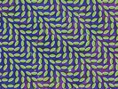 ANIMAL COLLECTIVE-MERRIWEATHER POST PAVILION-VINYL LP (2) DOMINO REC NEU