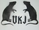 VKJ Vorkriegsjugend - Heute Spass, Morgen Tod Ultra Rar