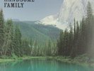 HANDSOME FAMILY - THROUGH THE TREES  VINYL LP NEW+
