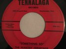 THE PEABODY HERMITAGE   TENNALAGA RECORDS    Orig. Garage Psych Fuzz