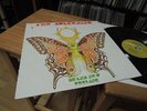 THE AWAKENING BRAND NEW FEELING 1976 LP MINT RARE KILLER / FUNK