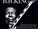 B.B. KING - B.B.KING WAILS/MY KIND OF BLUES 2 VINYL LP NEW+