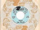 HALOS * 45 * Nag * 1961 #25 POP * ORIGINAL * NM  Condition with 7 ARTS Sleeve