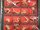 THE ROLLING STONES  Foxes in the Boxes VOL. 1 LP + CD  grünes Vinyl