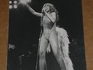 Tina Turner 11 x 7 early 1970s Agency Publicity Photo