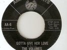 THE VOLUMES Gotta Give Her Love AMERICAN ARTS DETROIT  NORTHERN SOUL 45