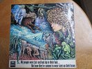 Tyrannosaurus Rex - 