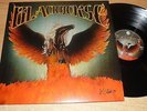 LP BLACKHORSE heavy Texas Southern Rock 1979 / MOLLY HATCHET / BLACKFOOT