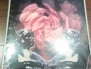 Death In June Rose Clouds Of Holocaust LP LJDLP Der Blutharsch