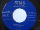 The Fugitives FREEWAY / FUGITIVE 1960 Tittyshaker Garage Rocker Instro SIMS  VG+