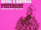 DAVE ALLAN & THE ARROWS - DEVIL'S RUMBLE '64-'68 - 2XLP - SUNDAZED - LAST ONE
