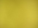EDDY CURRENT SUPPRESSION RING - Primary Colours - Vinyl (LP)