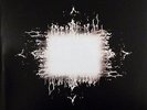 TOOL 2LP VINYL - AENIMA - POCHETTE OUVRANTE - GATEFOLD SLEEVE