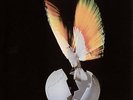 help - second coming  ( UK  1971 )  LP -re- release