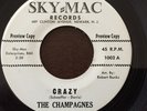 RARE Doo Wop/Group (45) THE CHAMPAIGNES 