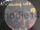 RUNNING WILD - UNDER JOLLY ROGER PIC-DISC            helloween, gamma ray, rage