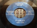 TERRY CLARK RARE NOR SOUL 45 