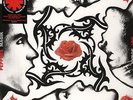 Red Hot Chili Peppers Blood Sugar Sex Magic NEW OVP Warner 2xVinyl LP