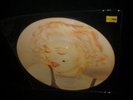 MADONNA Picture Disc  CHERISH  Limited Edition 12