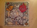 Vacant Lot- Stay Mental  LP  Punk Rock Oi, Skin Rar