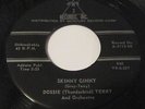 Rockabilly/Blues: DOSSIE THUNDERBIRD TERRY- Skinny Ginny/Fool Mule 45 AMP 2113