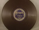 PRE WAR JAZZ 78 Bix Beiderbecke Wolverine Orch Need Some Pettin Gennett 20062 E-