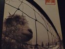 # Pearl Jam Vs on EPIC Holland First Press W/Inner G/F LP-C00122